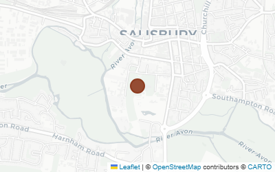 Map of Salisbury Cathedral (Magna Carta)